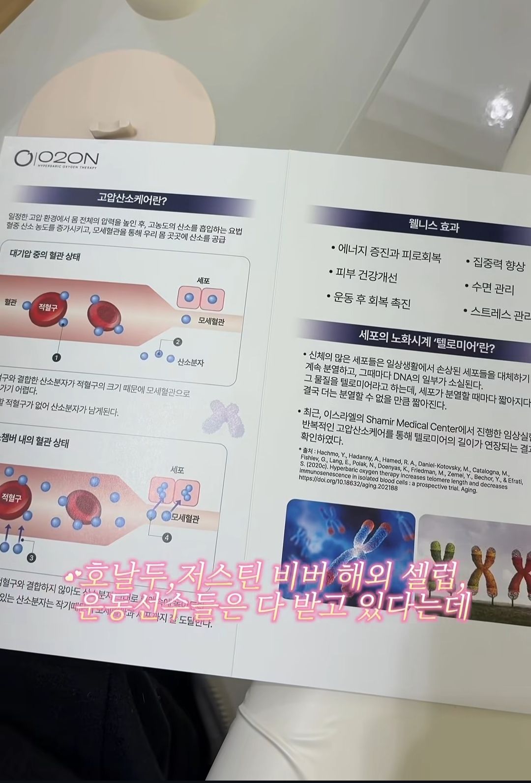 요즘 피부과에 있다는 산소 캡슐.jpg