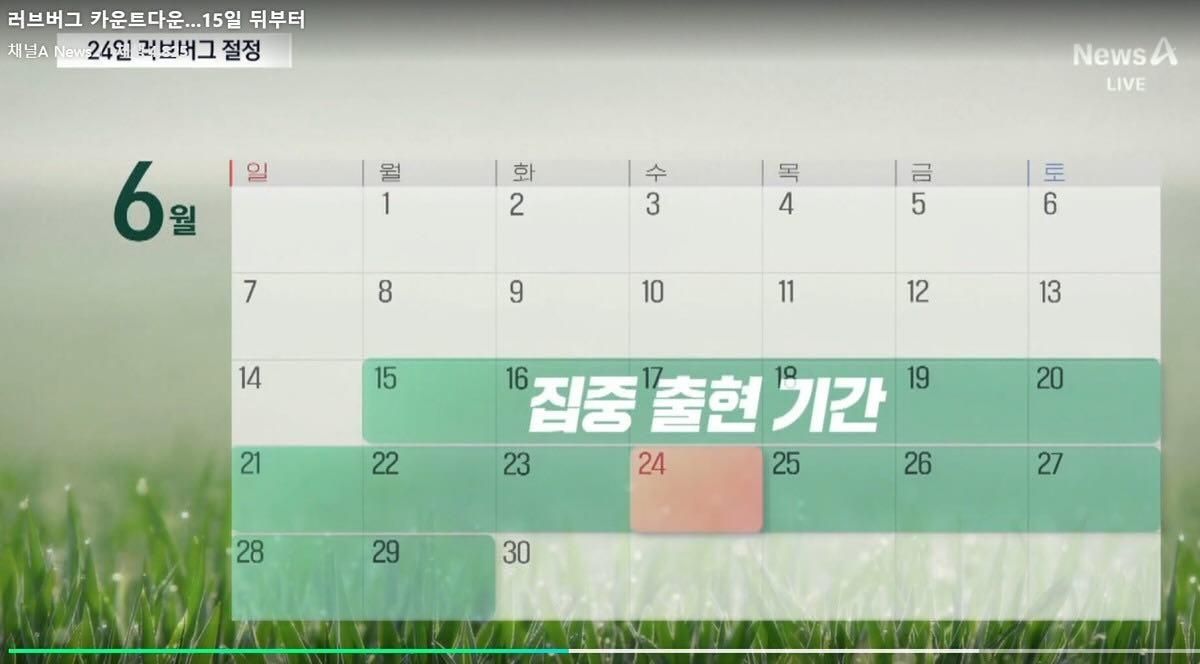 러브버그 출현 일정표