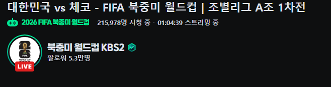 월드컵 별관심없다던 한국인들 근황...jpg