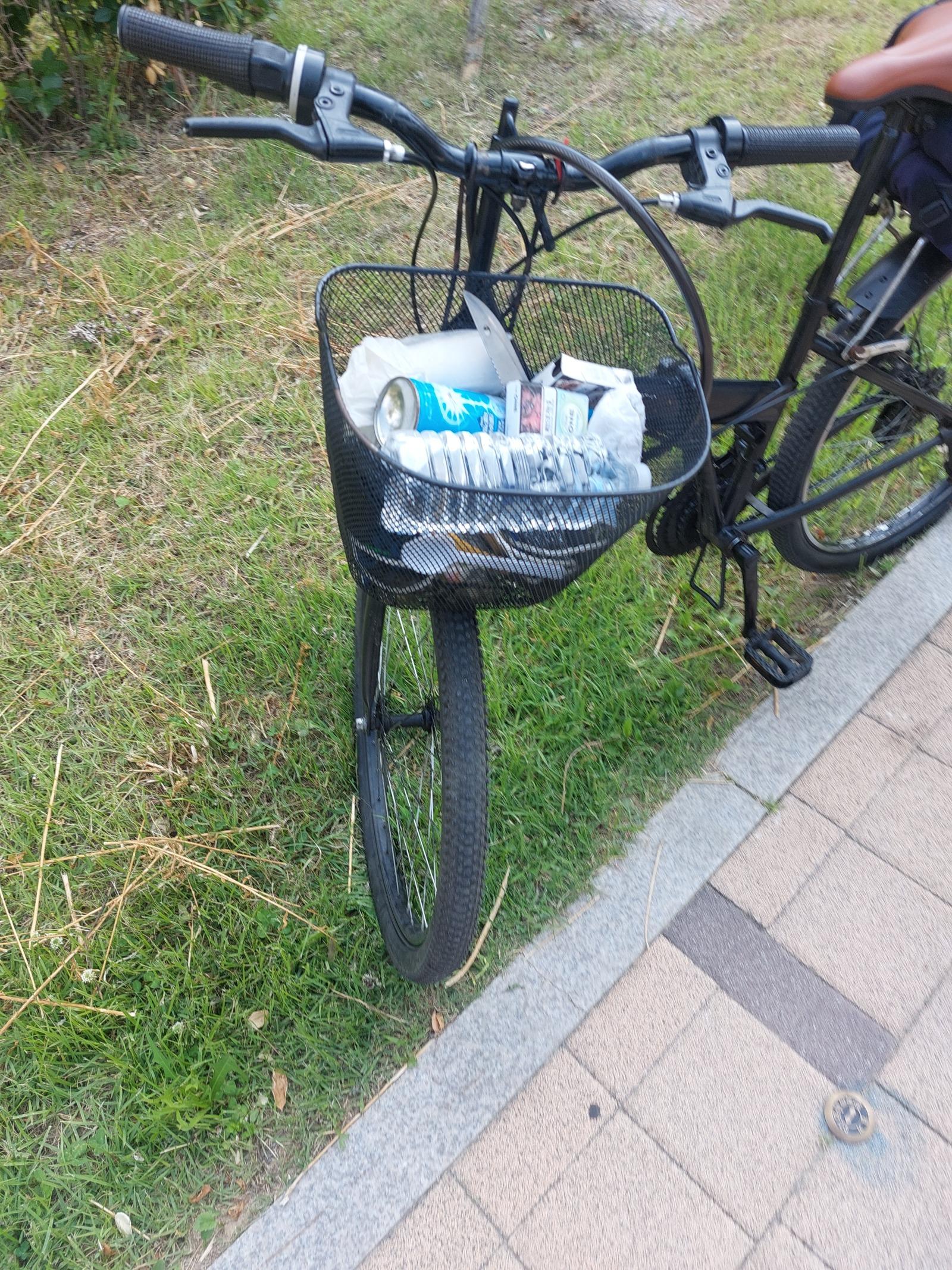 형님들 자전거에 이런 칼 놓고 다니는 조선족 어떻게 생각해?