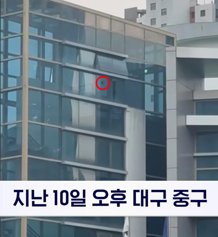 정신 나간 대구 선관위 직원