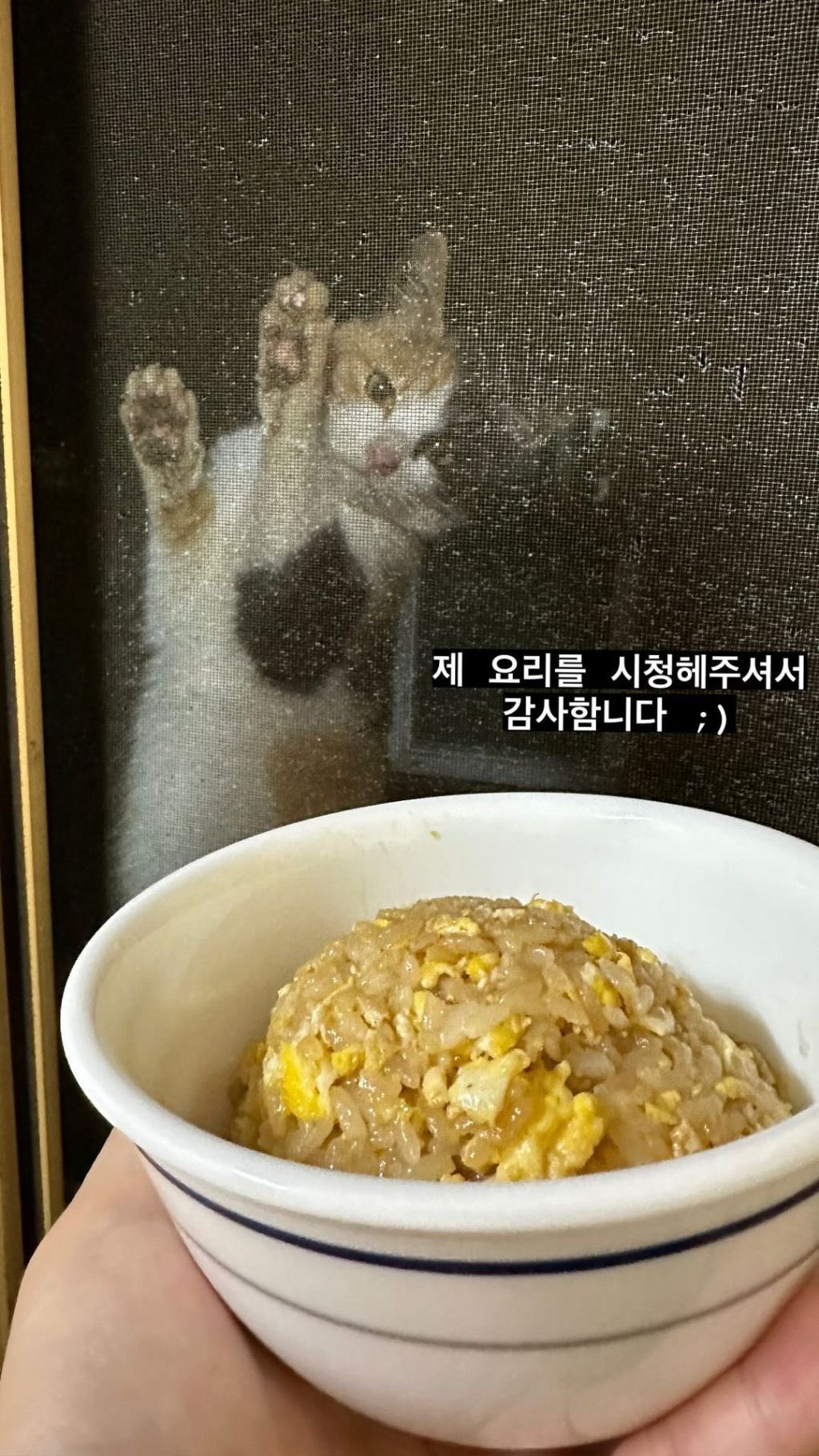 또 시작된 절미언니네 방충망 상황...jpg