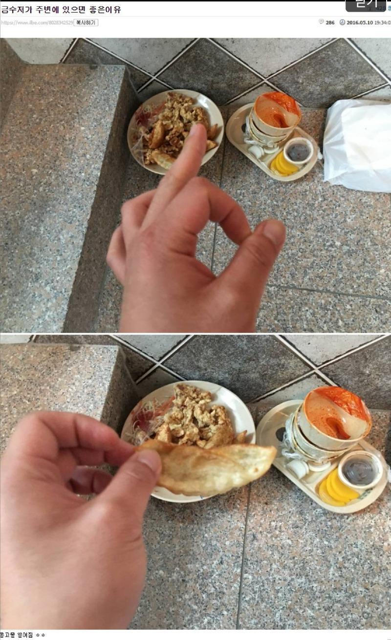 일베충 레전드 기록 ㅎㅎㅎ