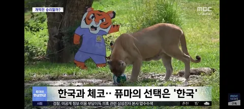오늘 홍명보,체코 감독의 운세/따봉 퓨마야 고마워~