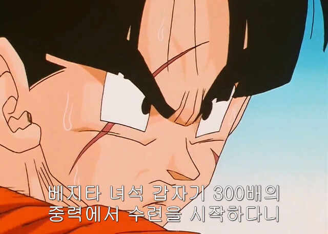 드래곤볼) ??: 베지터가 했던 특훈... 나도 따라해볼까..?