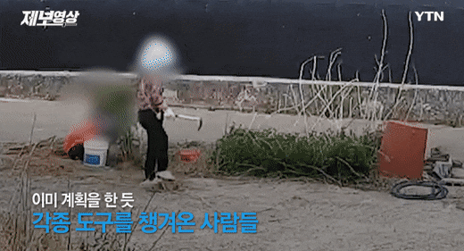 시골에 CCTV 설치하는 집이 많아지는 이유.
