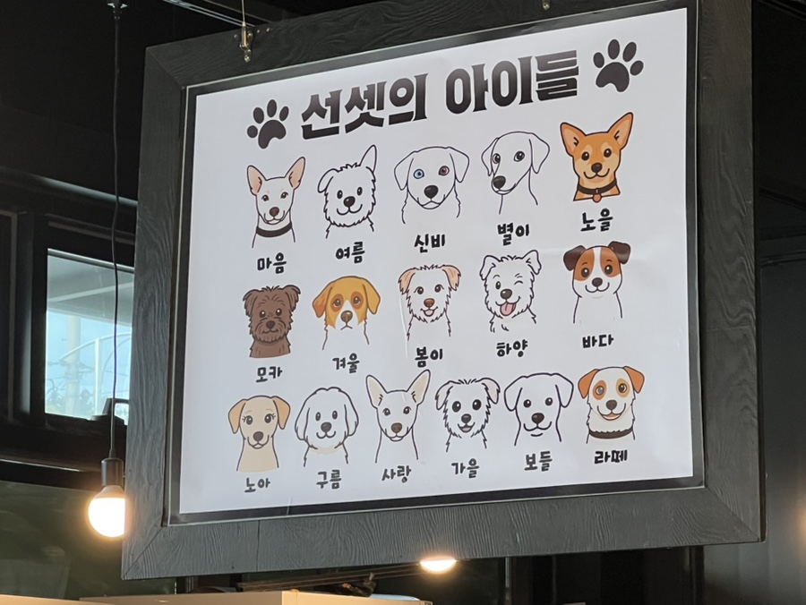 커피 마시러 왔는데 유기견 보살펴서 입양보내는 주인이 계시네