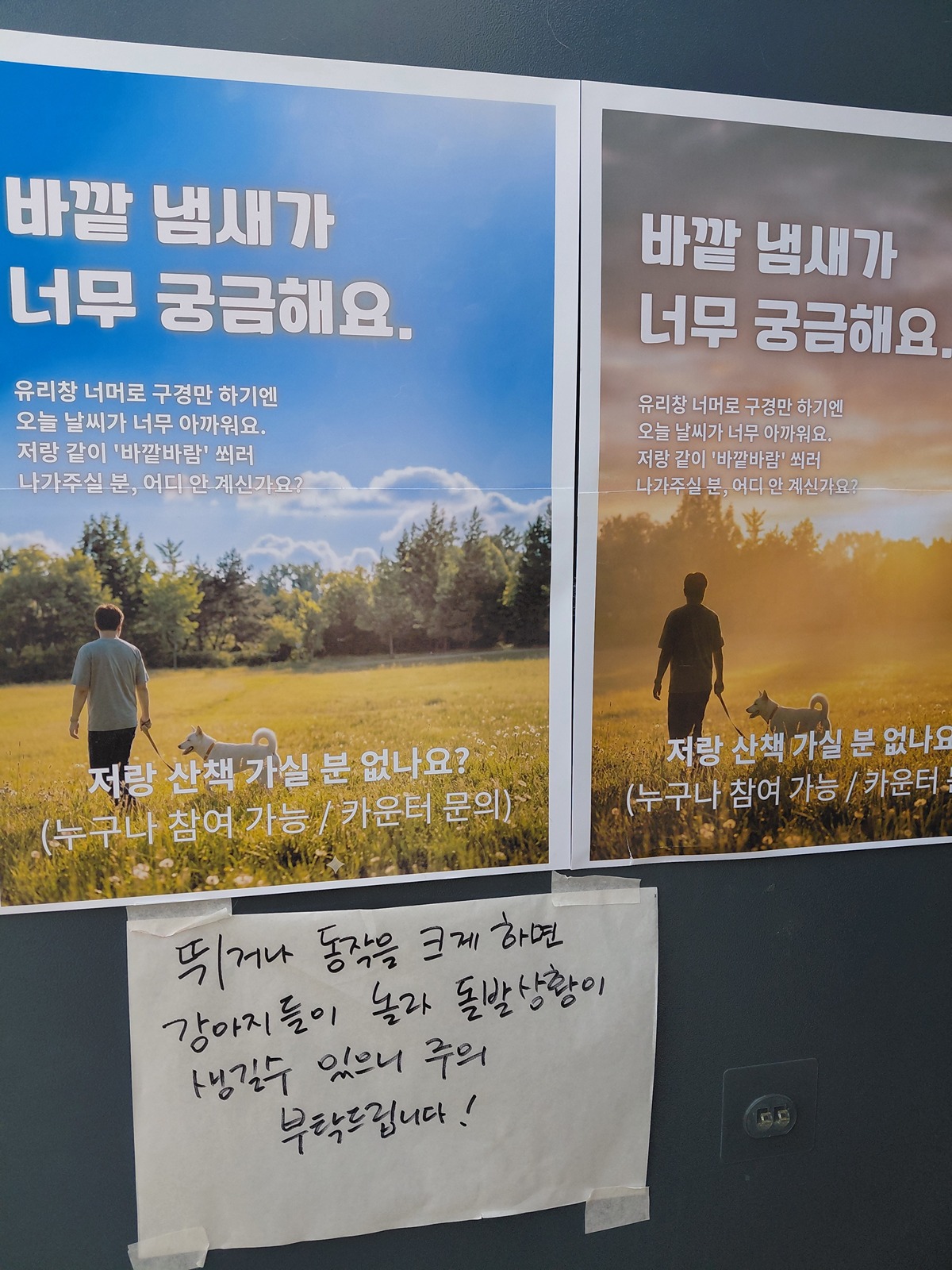 커피 마시러 왔는데 유기견 보살펴서 입양보내는 주인이 계시네