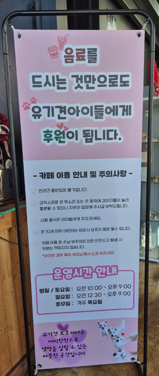 커피 마시러 왔는데 유기견 보살펴서 입양보내는 주인이 계시네