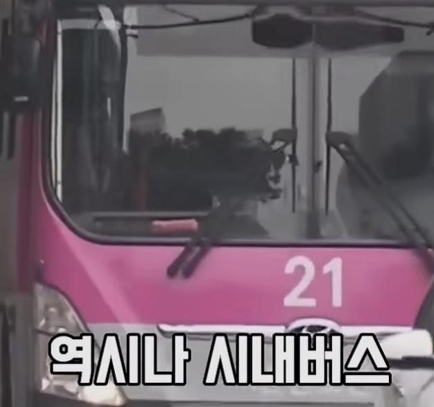 울산 카르텔의 절규