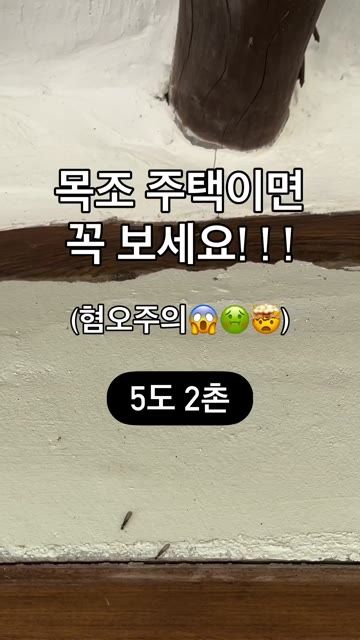 (혐) 목조주택 근황.mp4