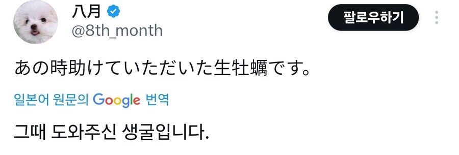 굴같은 여친룩