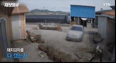 시골에 CCTV 설치하는 집이 많아지는 이유.