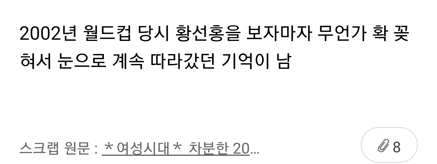 [흥미돋] 모두가 안정환, 김남일 좋아할 때 꿋꿋하게 황선홍 좋아했던 달글