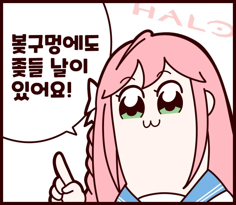 각종 짤 모음