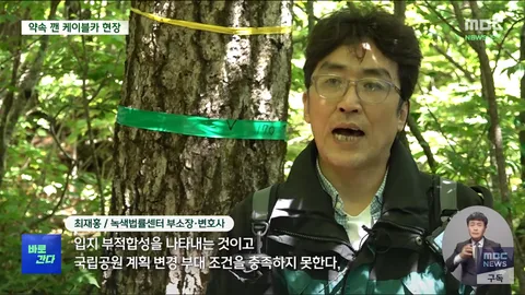 희귀 식물 지킨다던 설악산 케이블카… 지켜지나?