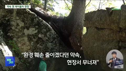 희귀 식물 지킨다던 설악산 케이블카… 지켜지나?