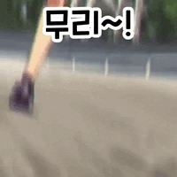블루아카) 완주 했다지에