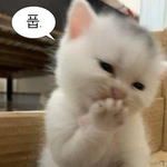 "젠슨 황 일본은 왜 안와"…'재팬 패싱'에 충격 빠진 日.news
