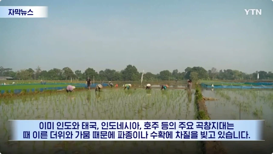 날씨 근황.jpg