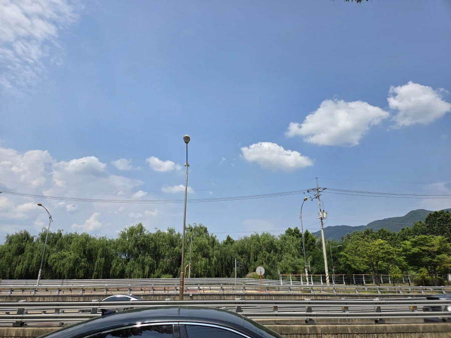 블루아카) 몰?루 런 후기