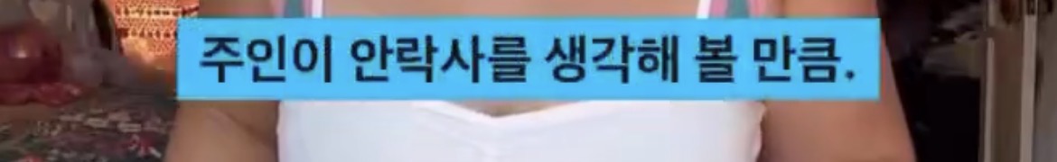 몸매정병이 아무 의미가 없는 이유