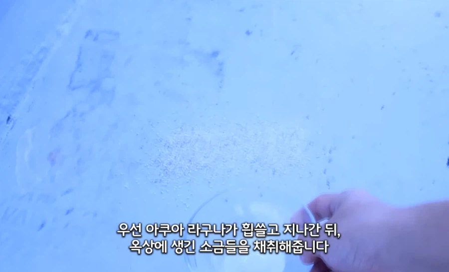 인방) 고증에 철저한 요리 유튜버