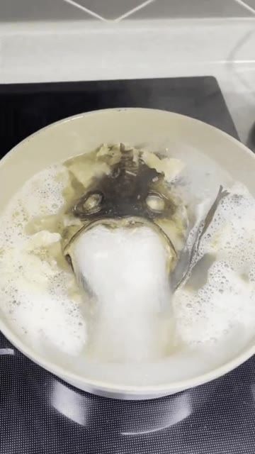 아내가 끓여준 지옥에서 온 황태국.