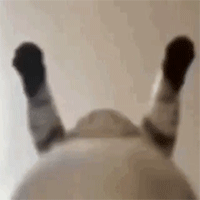 「아앗ㅡㅡㅡ크ㅡㅡㅡ시키, 씨ㅡㅡㅡㅡ!」