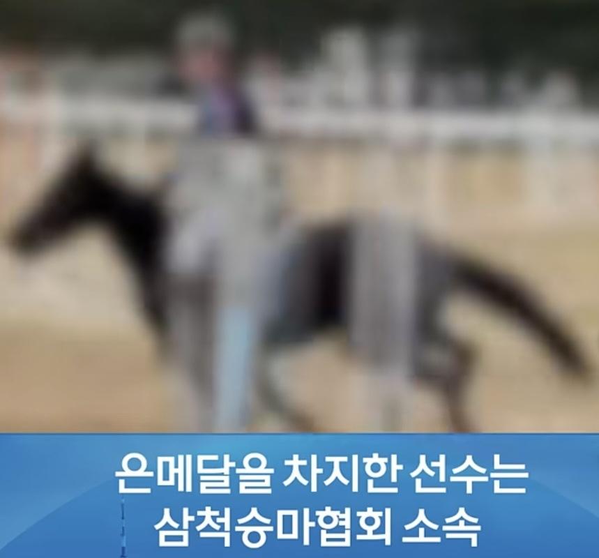 삼척 승마대회의 비리