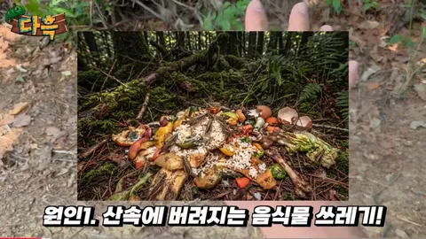 해충을 창궐케 하는 이것.. 그런데 이렇게까지 해야 하나?