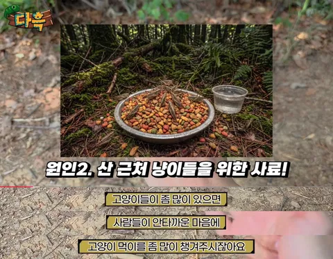 해충을 창궐케 하는 이것.. 그런데 이렇게까지 해야 하나?