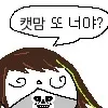 해충을 창궐케 하는 이것.. 그런데 이렇게까지 해야 하나?