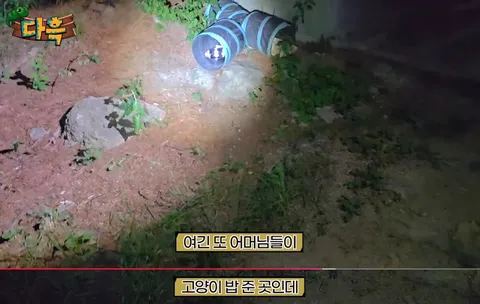 해충을 창궐케 하는 이것.. 그런데 이렇게까지 해야 하나?