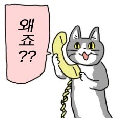 1시인데 배가 고프잖아