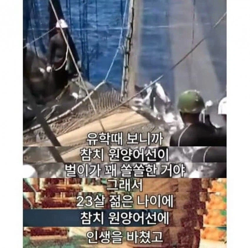 서울대를 포기하고 부경대를 간 청년