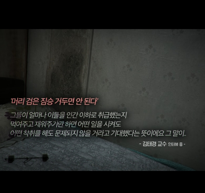 오늘자 30년만에 드러난 개충격적인 사건 (꼭 읽어줘)