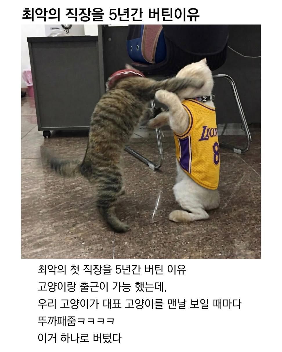 최악의 직장을 5년간 버틴 이유.