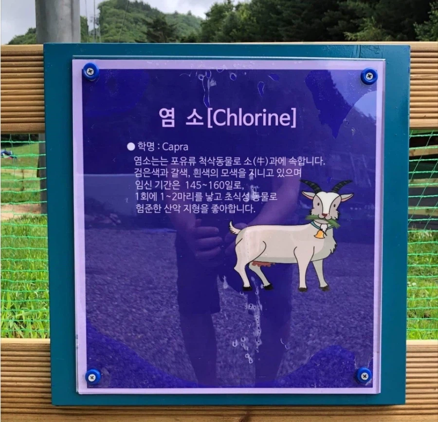 수돗물을 아껴야 하는 충격적인 이유