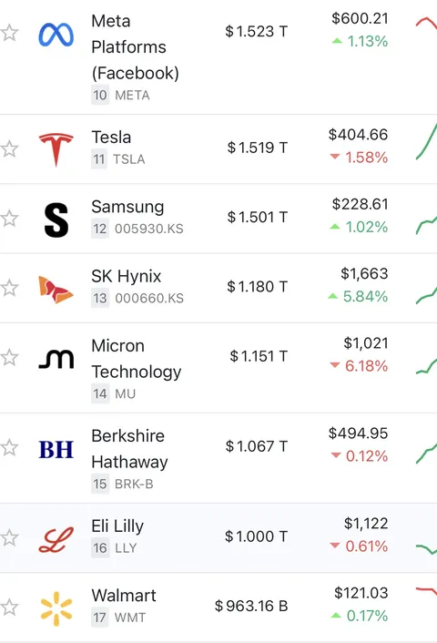 글로벌 시가 총액 순위 - SpaceX 5위, 삼성전자 12위, SK 하이닉스 13위
