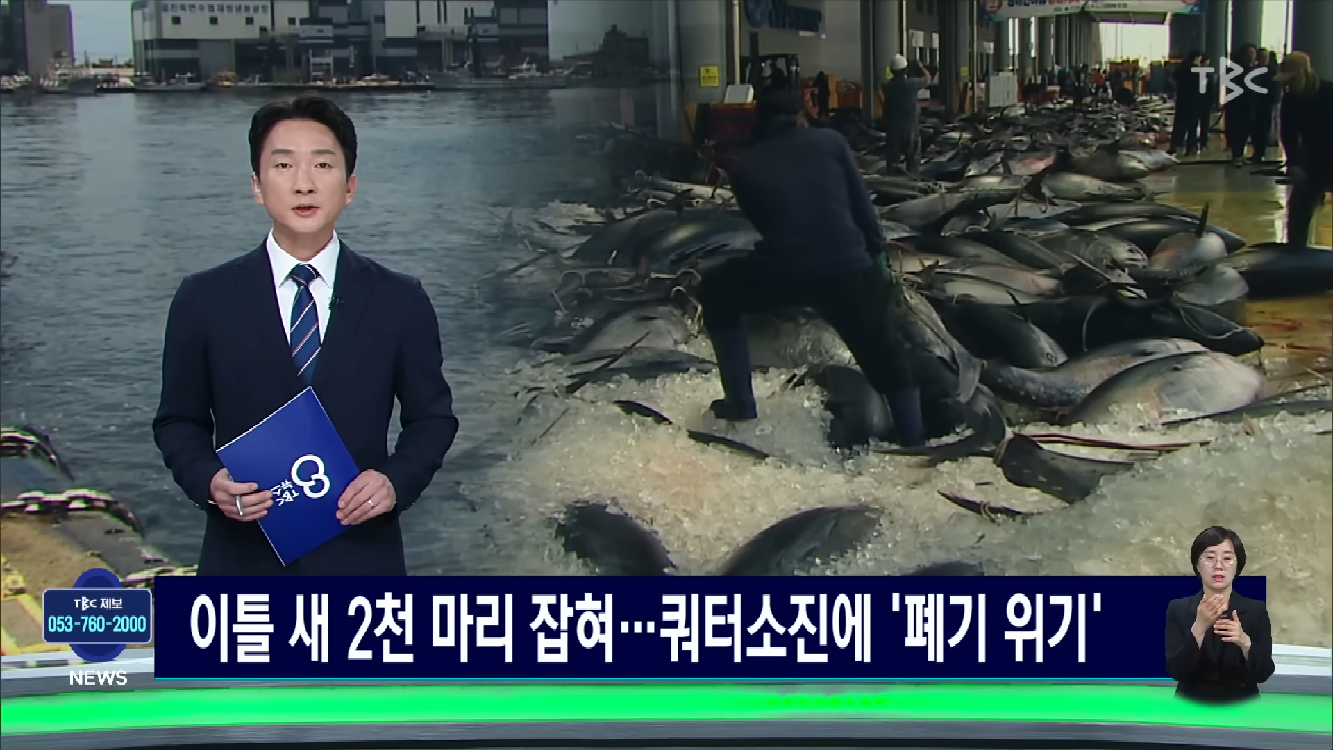 참치 때문에 난리났다는 동해 근황