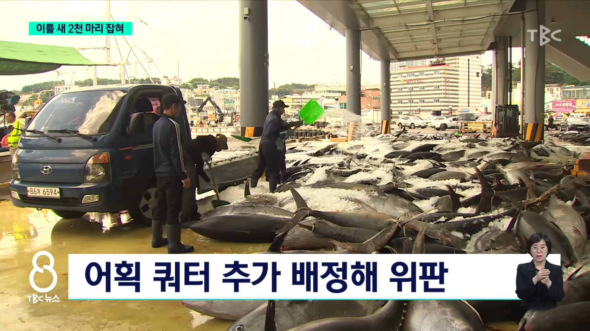 참치 때문에 난리났다는 동해 근황