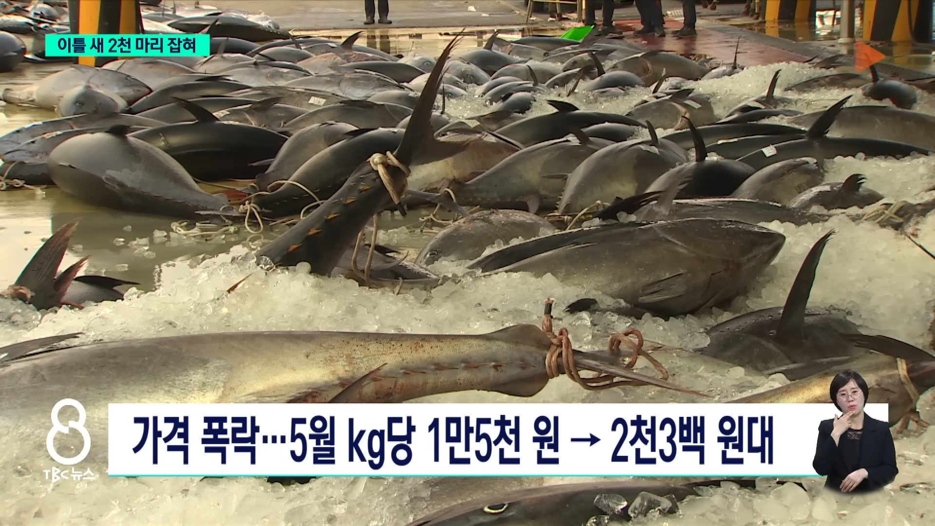 참치 때문에 난리났다는 동해 근황