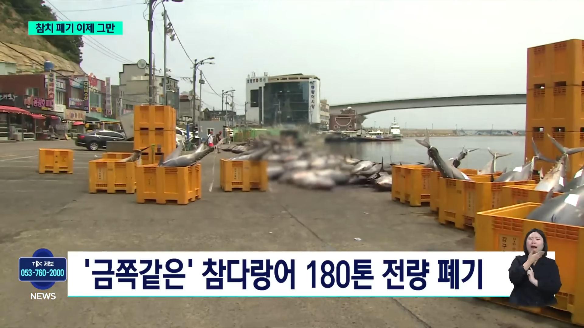 참치 때문에 난리났다는 동해 근황