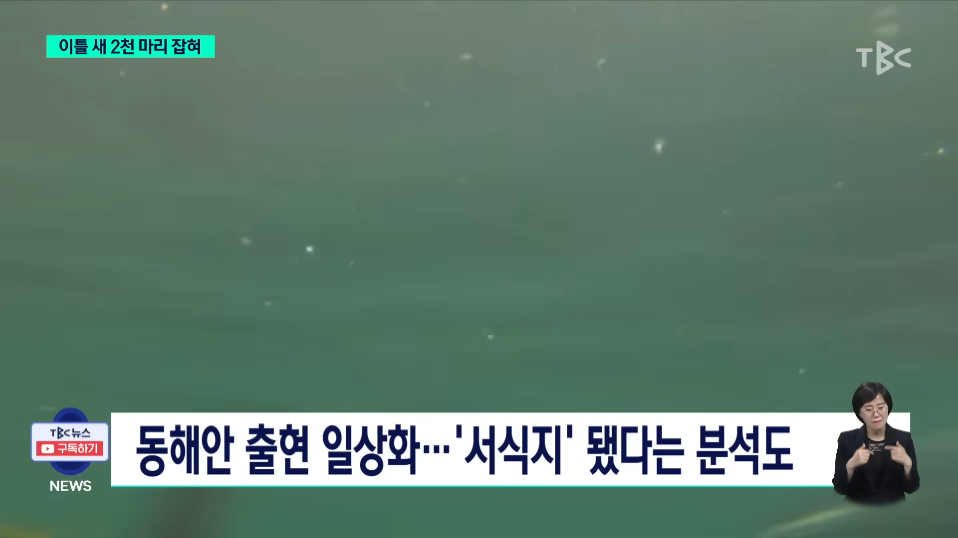 참치 때문에 난리났다는 동해 근황