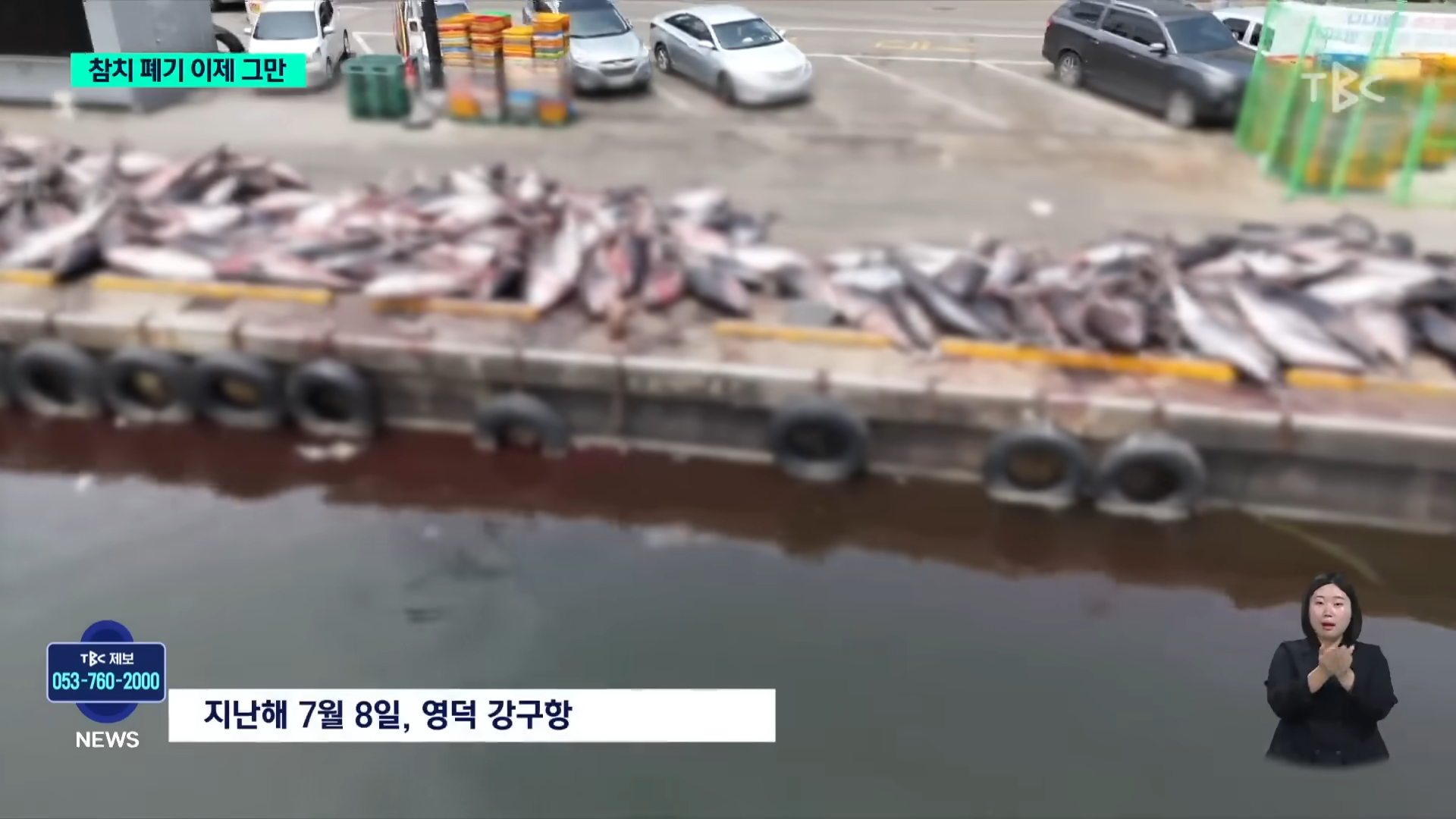 참치 때문에 난리났다는 동해 근황