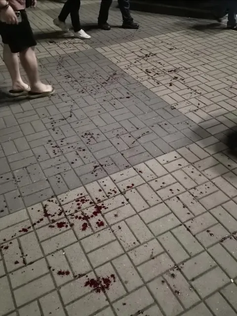 [제보] 올림픽공원서 칼부림 난동 발생!!.jpg