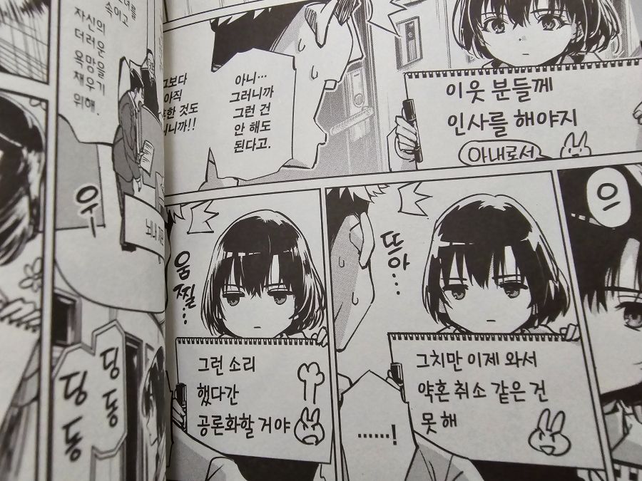 드디어 정발본이 나옵니다!!