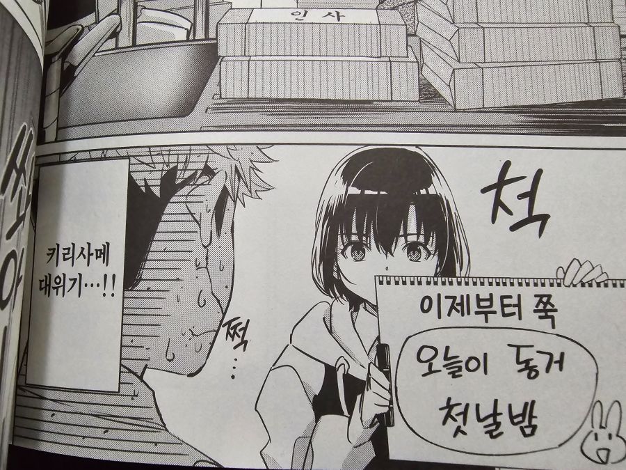 드디어 정발본이 나옵니다!!