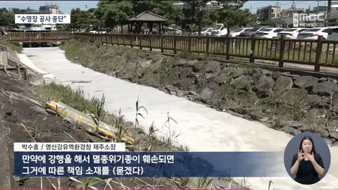 제주 '반려동물 수영장 공사 중단' 환경청 조사 착수